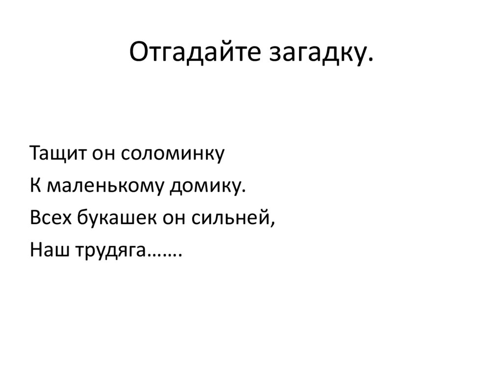 Отгадайте загадку.
