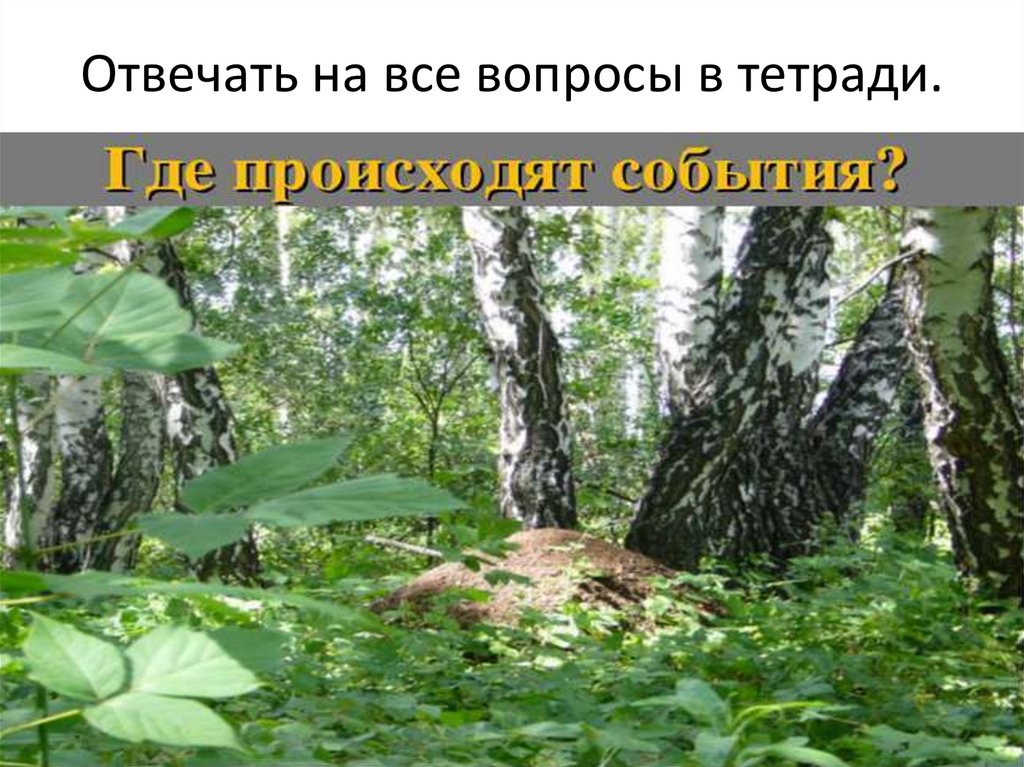 Отвечать на все вопросы в тетради.