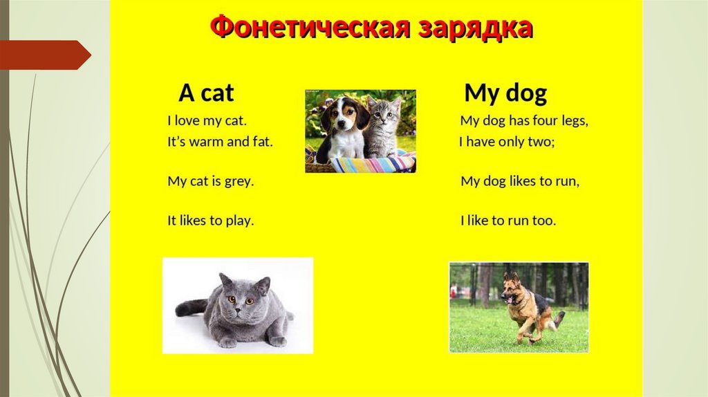 My pet презентация