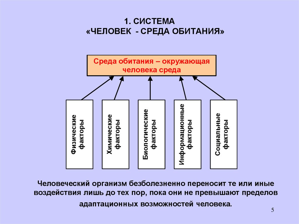 Проект на тему взаимодействие человека и среды обитания