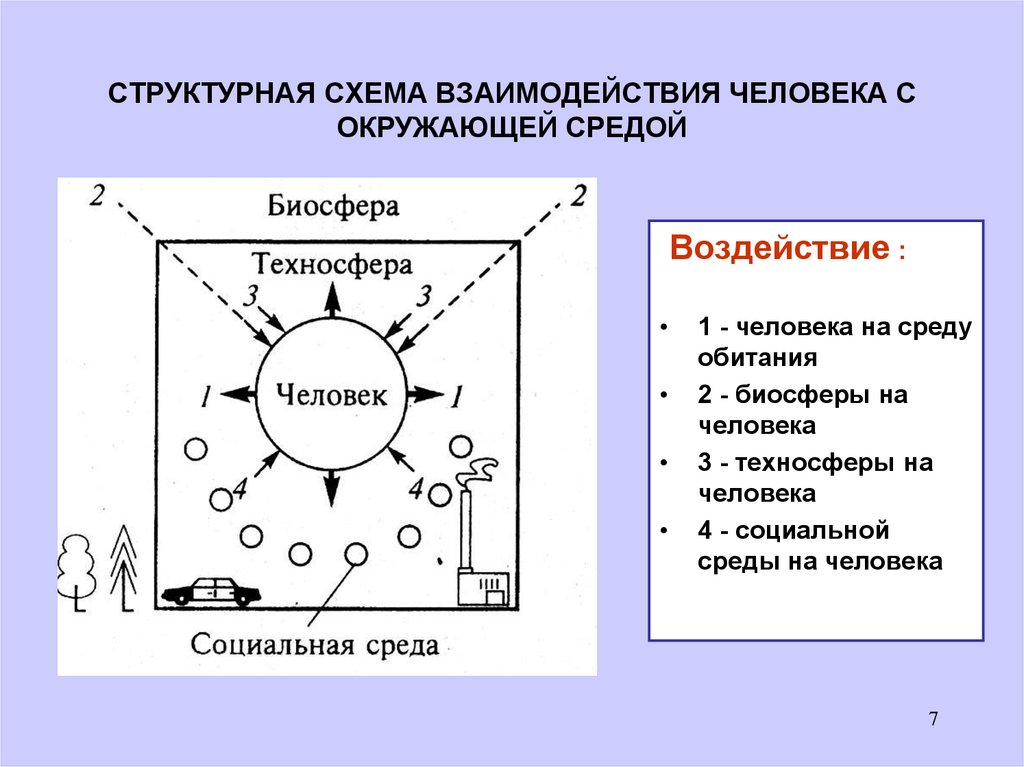 Расположите в правильном порядке элементы схемы взаимодействия человека со средой обитания