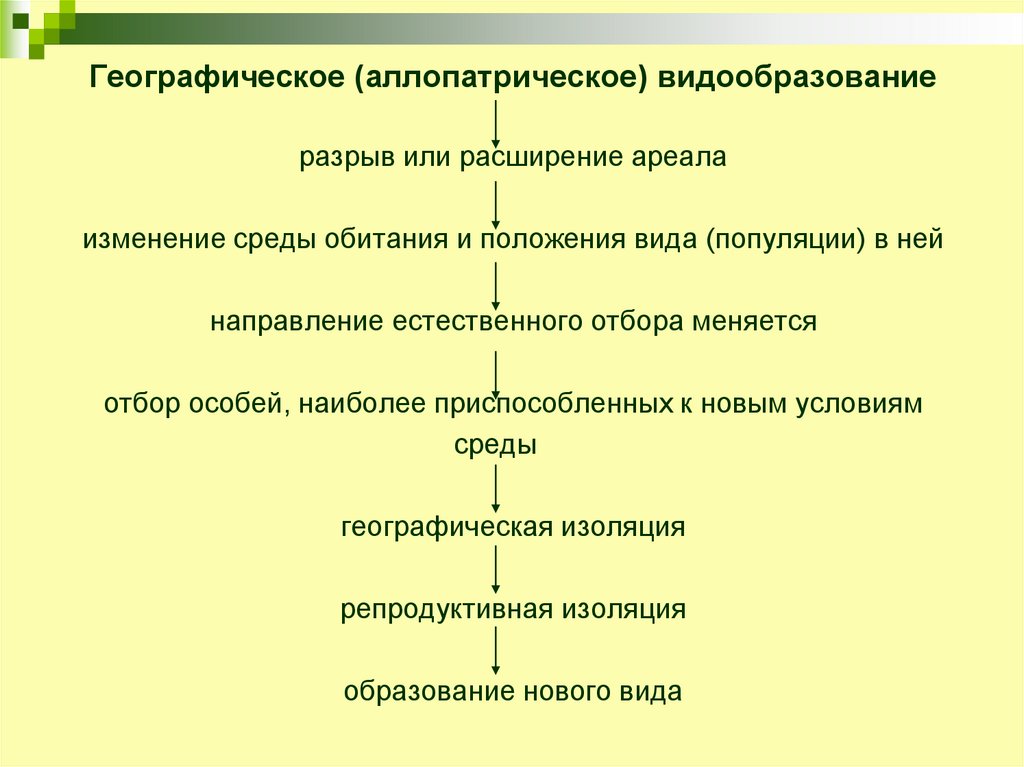 Схема экологического видообразования