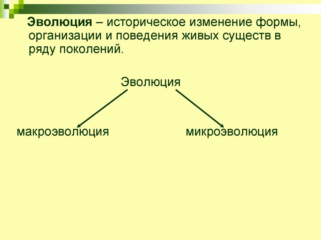 Основные направления эволюции презентация