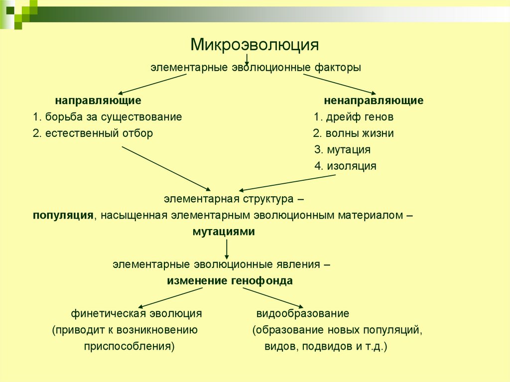 Схема эволюционного процесса