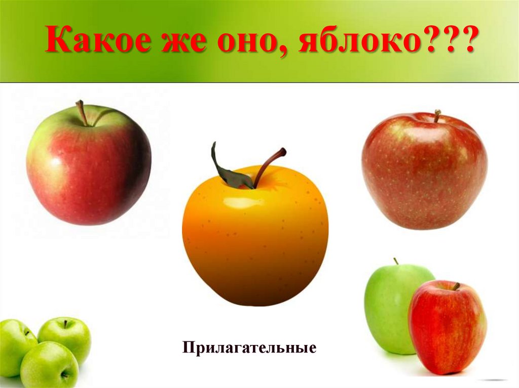 Какое же оно, яблоко???