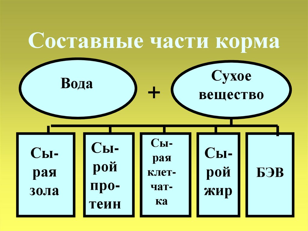 Схема хим состава кормов