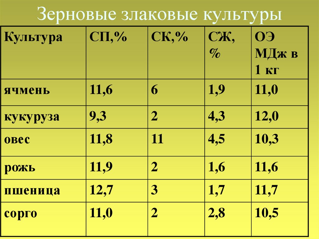 Классификация зерновых