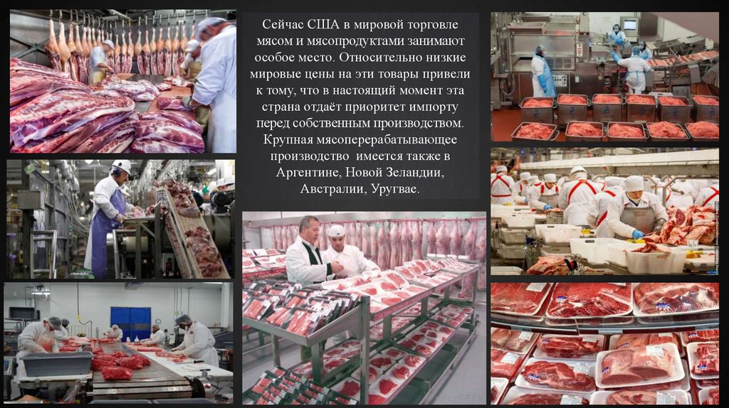 История становления, развития и современное состояние ...