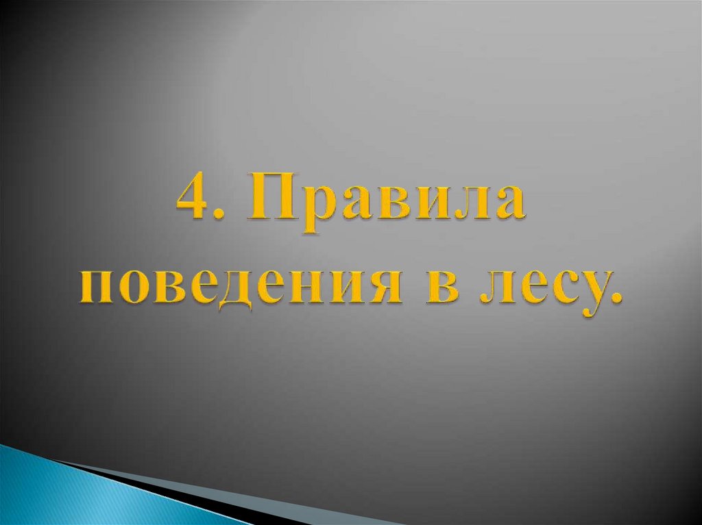 4. Правила поведения в лесу.