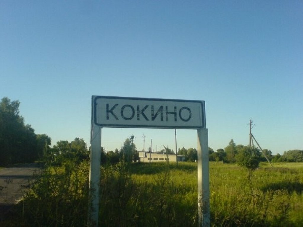 Село Кокино Брянской области