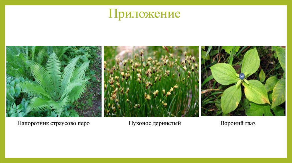 Приложение