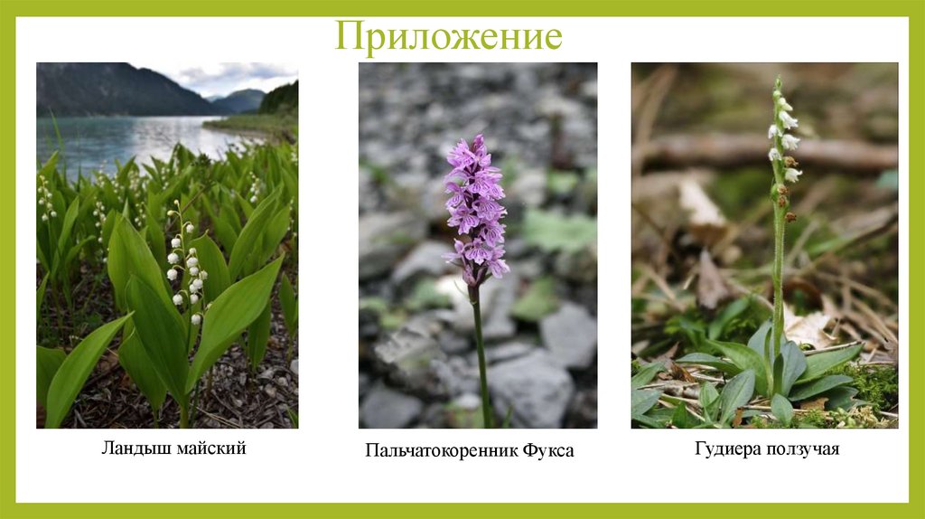 Приложение