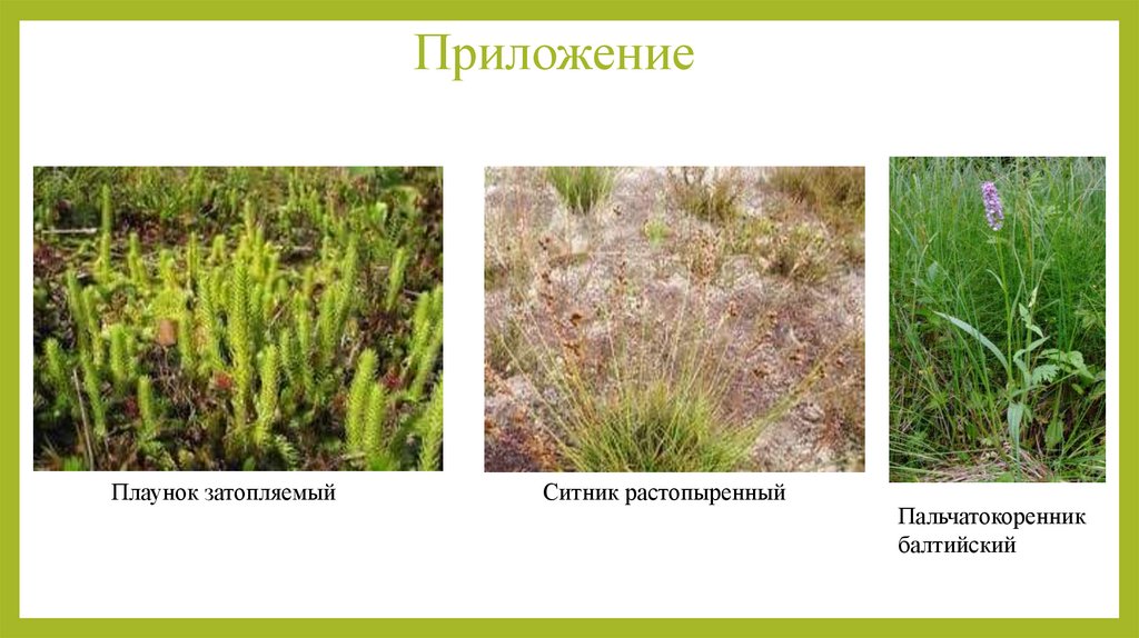 Приложение