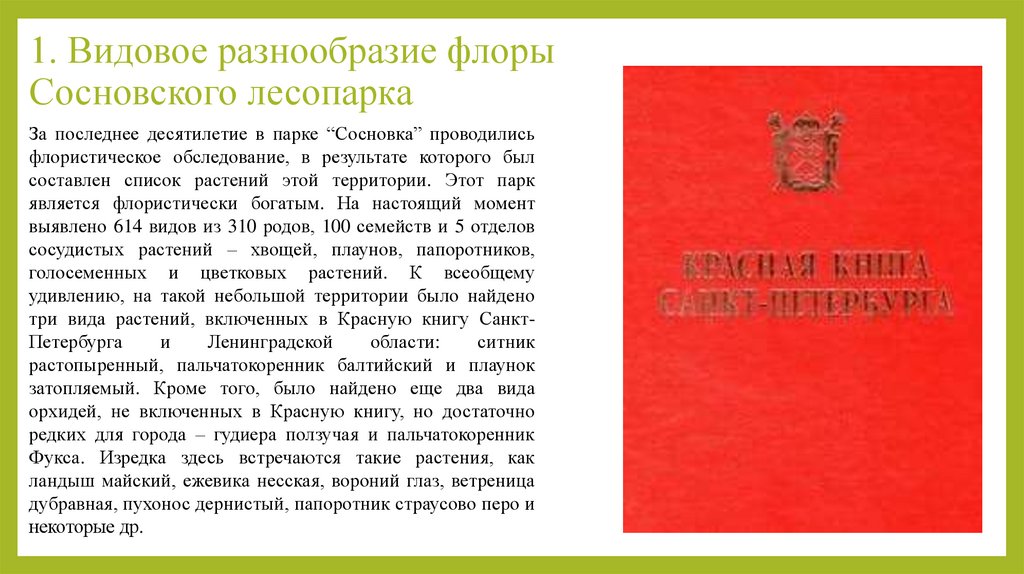 1. Видовое разнообразие флоры Сосновского лесопарка