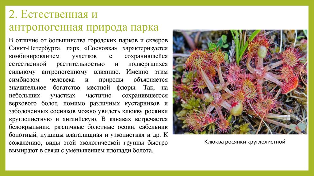 2. Естественная и антропогенная природа парка