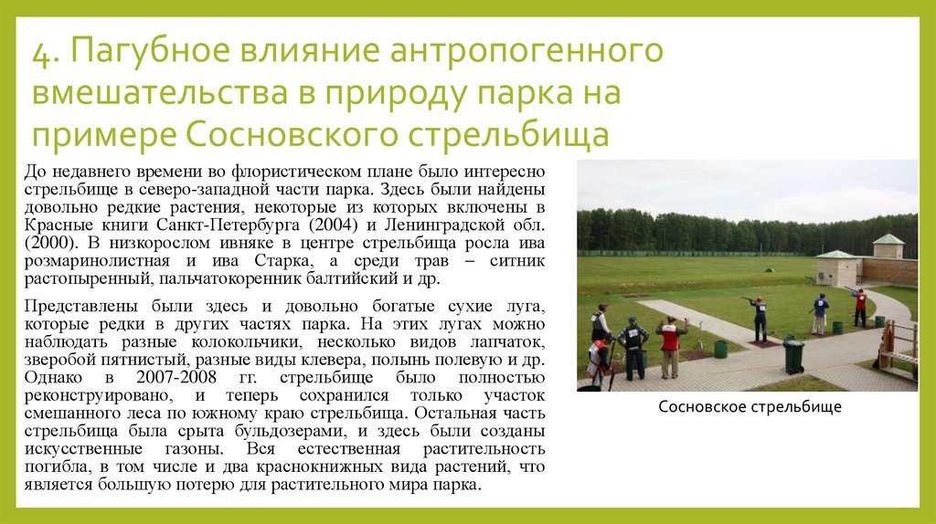 4. Пагубное влияние антропогенного вмешательства в природу парка на примере Сосновского стрельбища