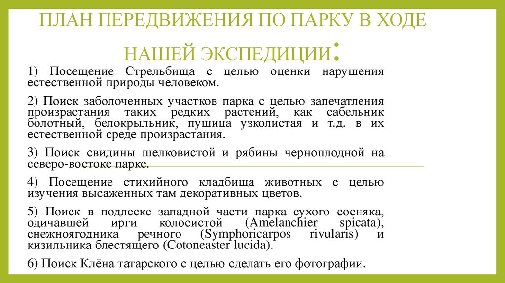 План передвижения по парку в ходе нашей экспедиции: