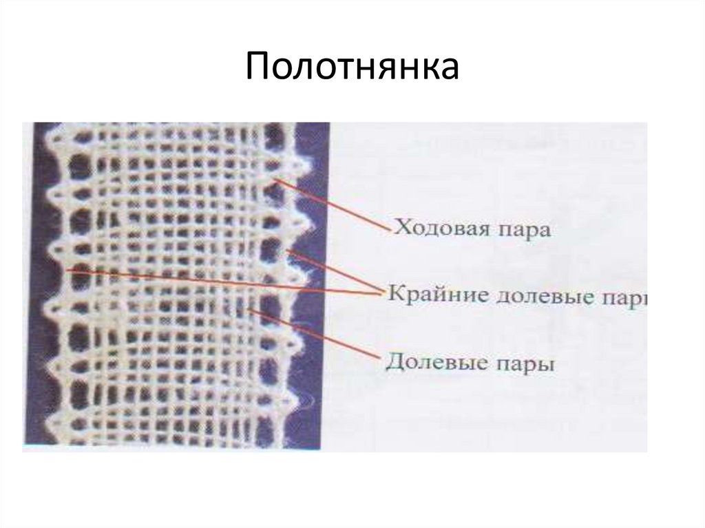 Полотнянка
