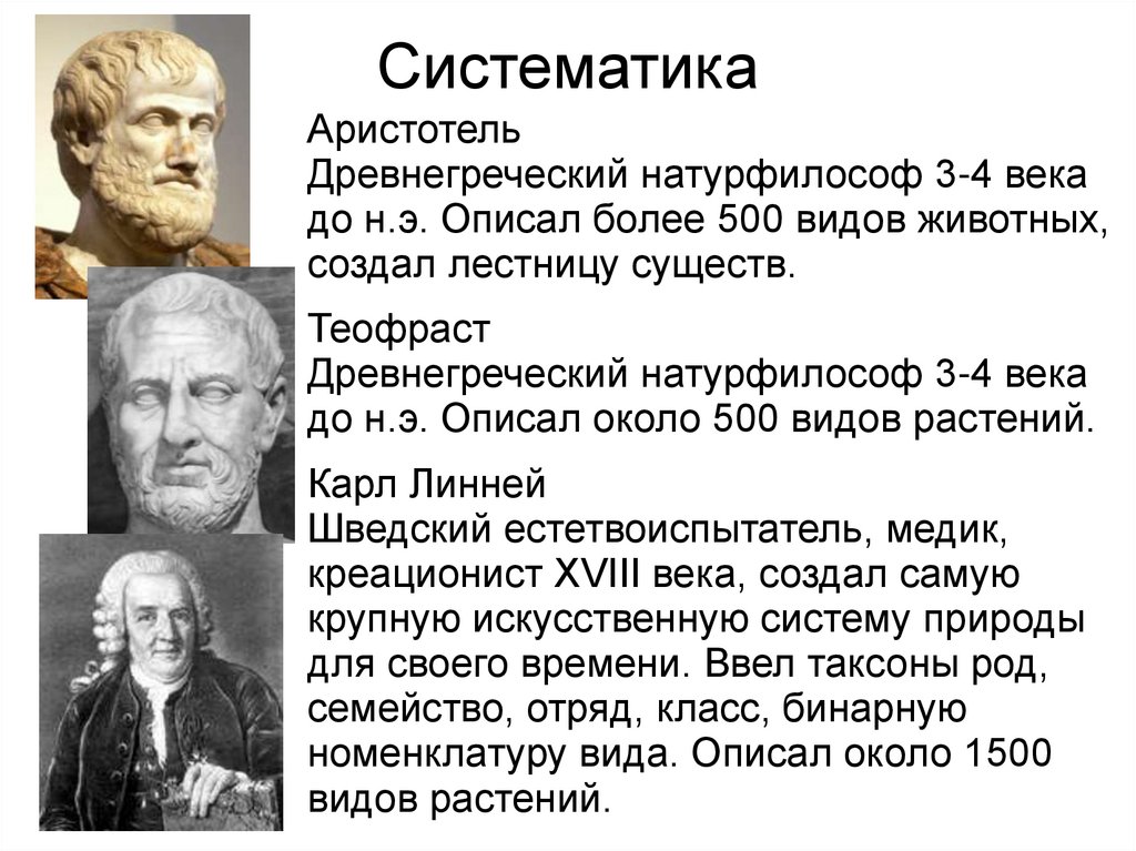 Аристотель какой век. Систематика Аристотеля. Систематика животных Аристотеля. Таксономия Аристотель. Систематика Аристотеля биология.