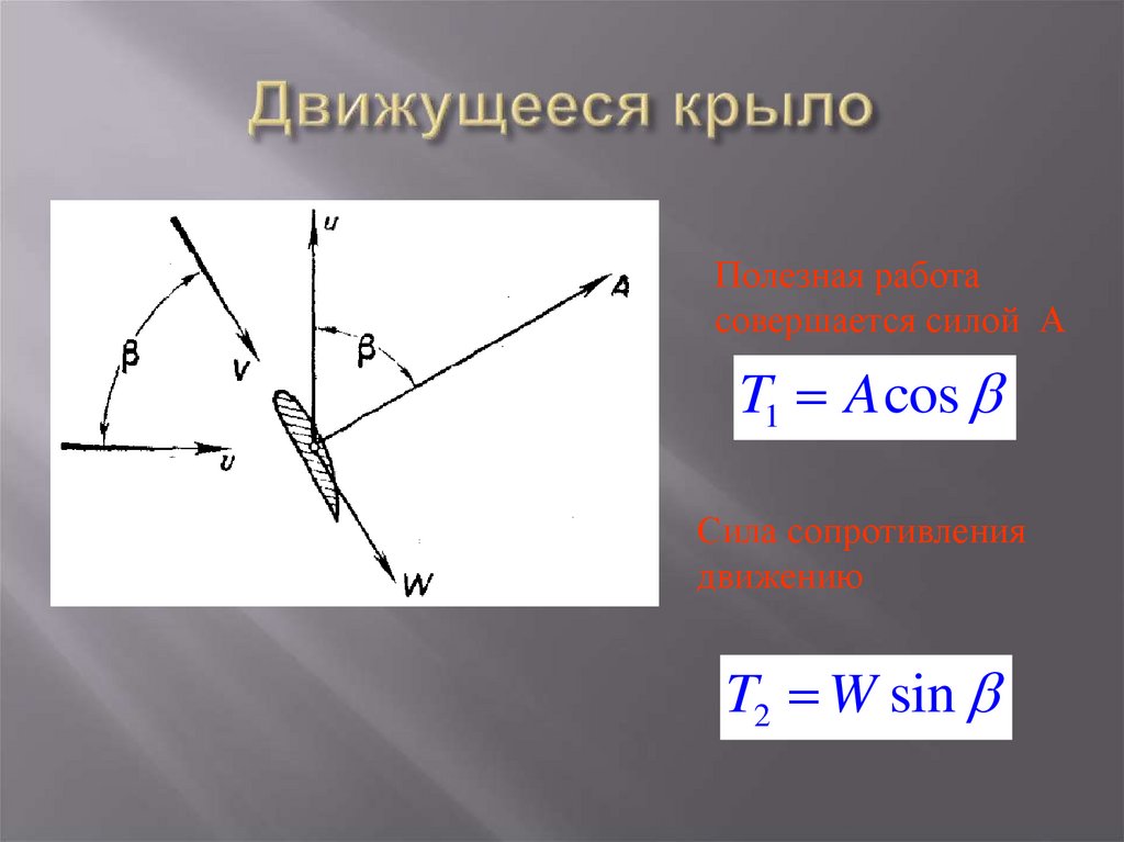 Движущееся крыло