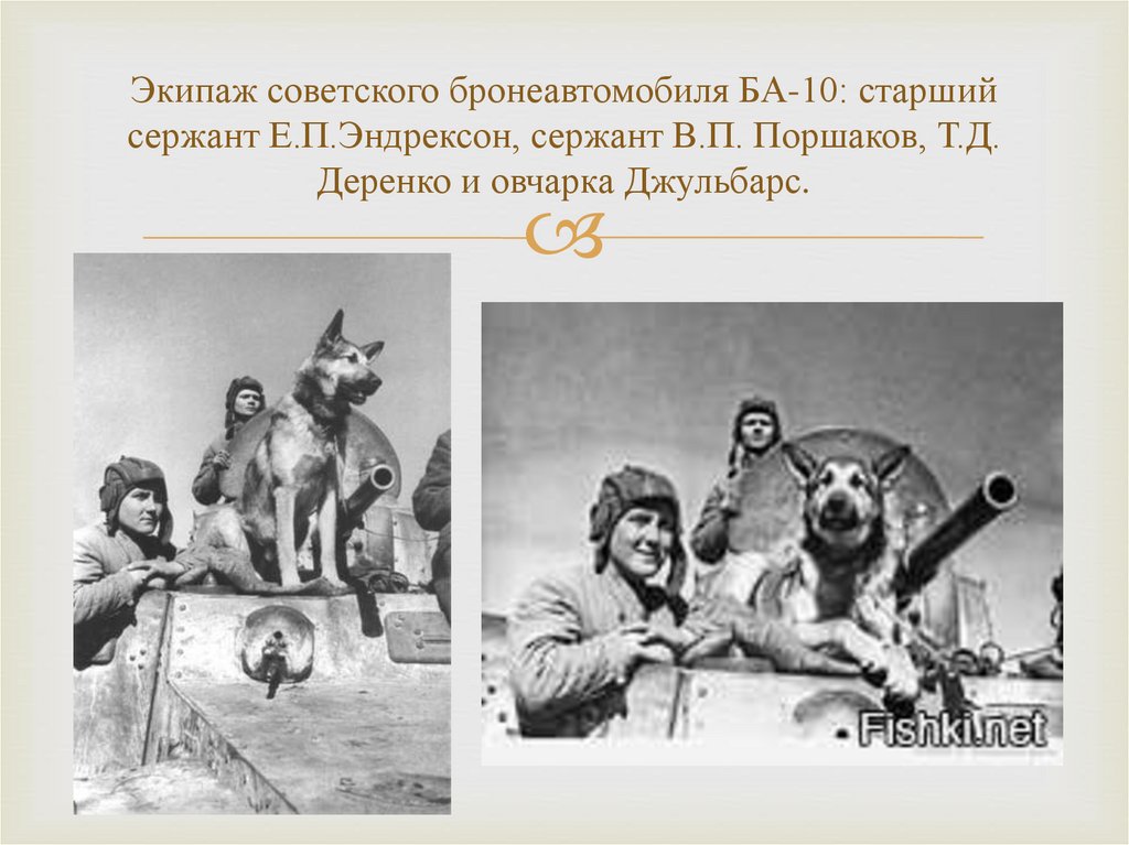 Экипаж советского бронеавтомобиля БА-10: старший сержант Е.П.Эндрексон, сержант В.П. Поршаков, Т.Д. Деренко и овчарка