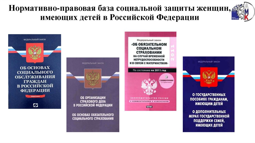Нормативно-правовая база социальной защиты женщин, имеющих детей в Российской Федерации