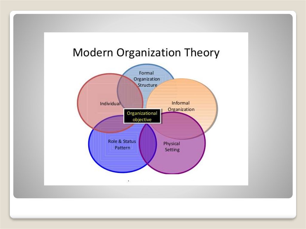 essay about theories of organization