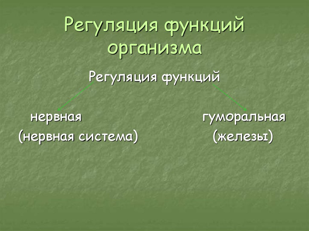 Нейрогуморальная регуляция презентация 6 класс пасечник