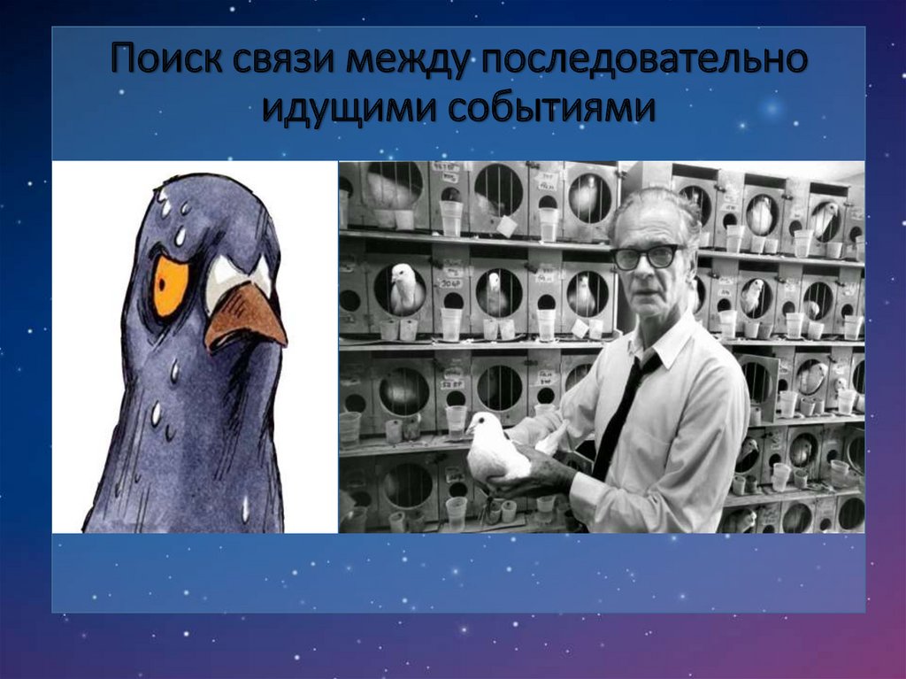 Поиск связей