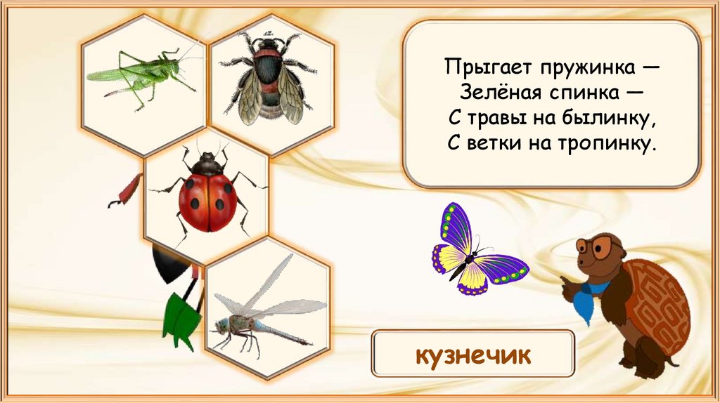 Насекомые урок 1 классе. Презентация насекомые 1 класс окружающий мир школа России. Насекомые это 1 класс окружающий мир школа России. Насекомые 1 класс окружающий. Насекомые презентация 1 класс окружающий мир.