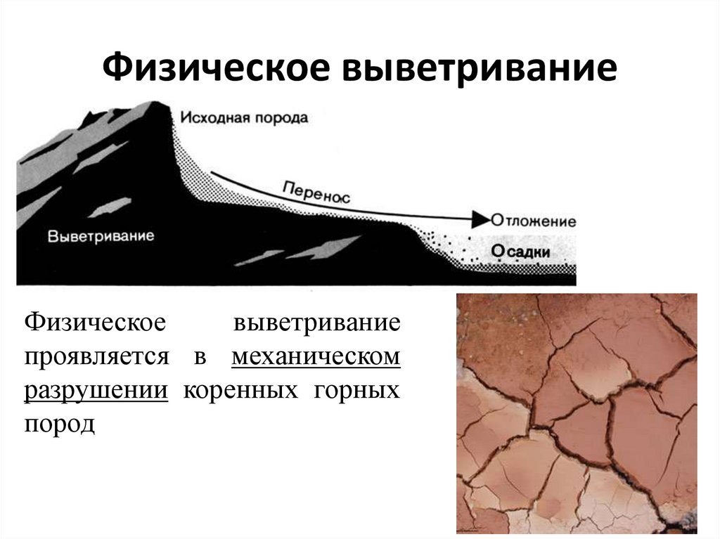 Процессы выветривания горных пород и минералов