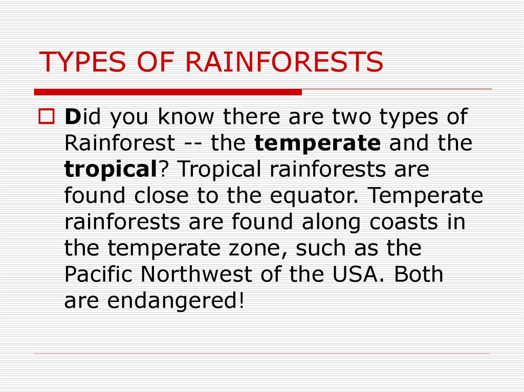 TYPES OF RAINFORESTS