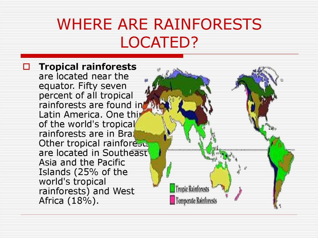 WHERE ARE RAINFORESTS LOCATED?