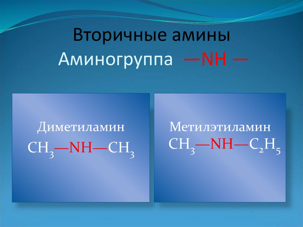 Презентация по теме амины анилин