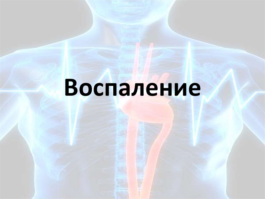 Пути воспаления. Значение воспаления для организма.