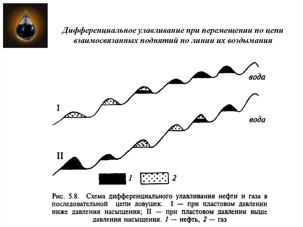 Дифференциальное улавливание при перемещении по цепи взаимосвязанных поднятий по линии их воздымания