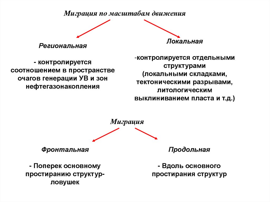 Региональное движение. Миграция по масштабу и по времени. Вторичная миграция. Очаговая пространственная структура. Виды миграции по масштабам.