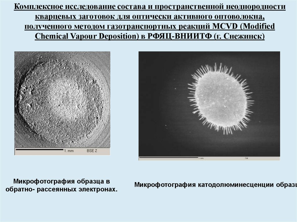 Образец для микроанализа