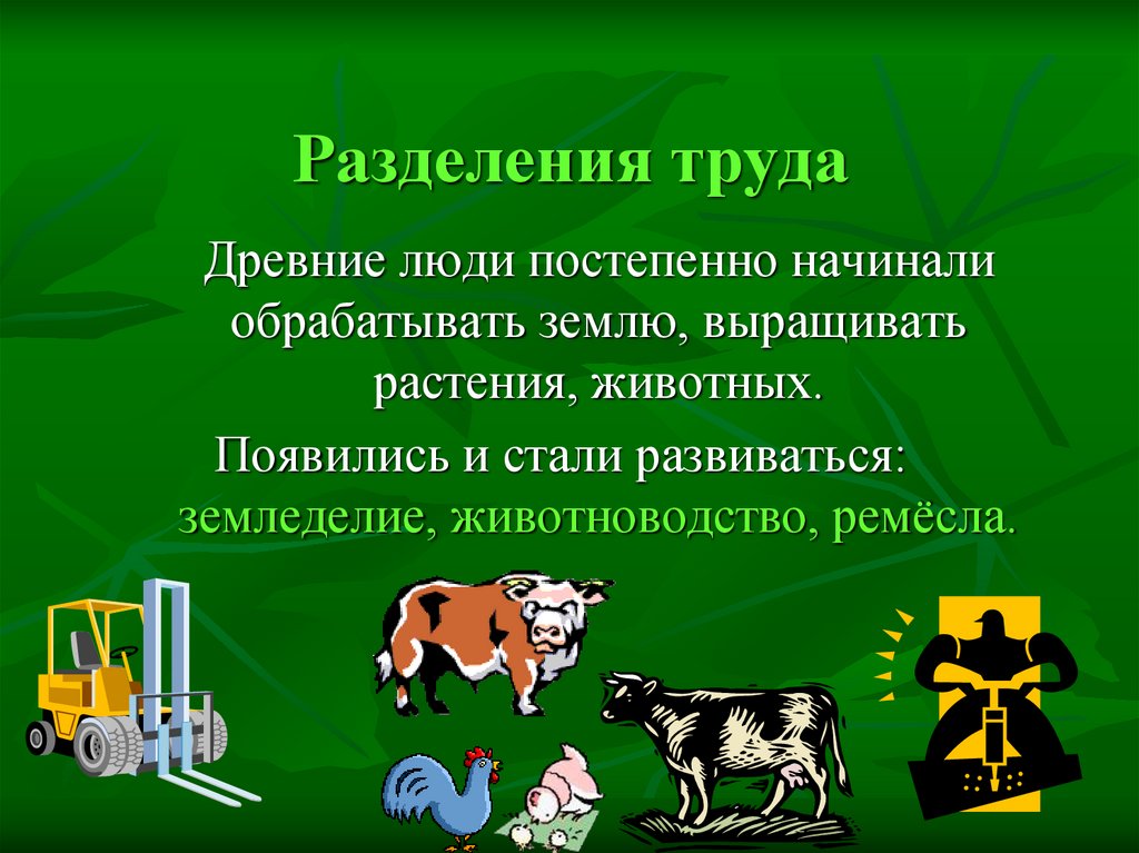 Разделения труда