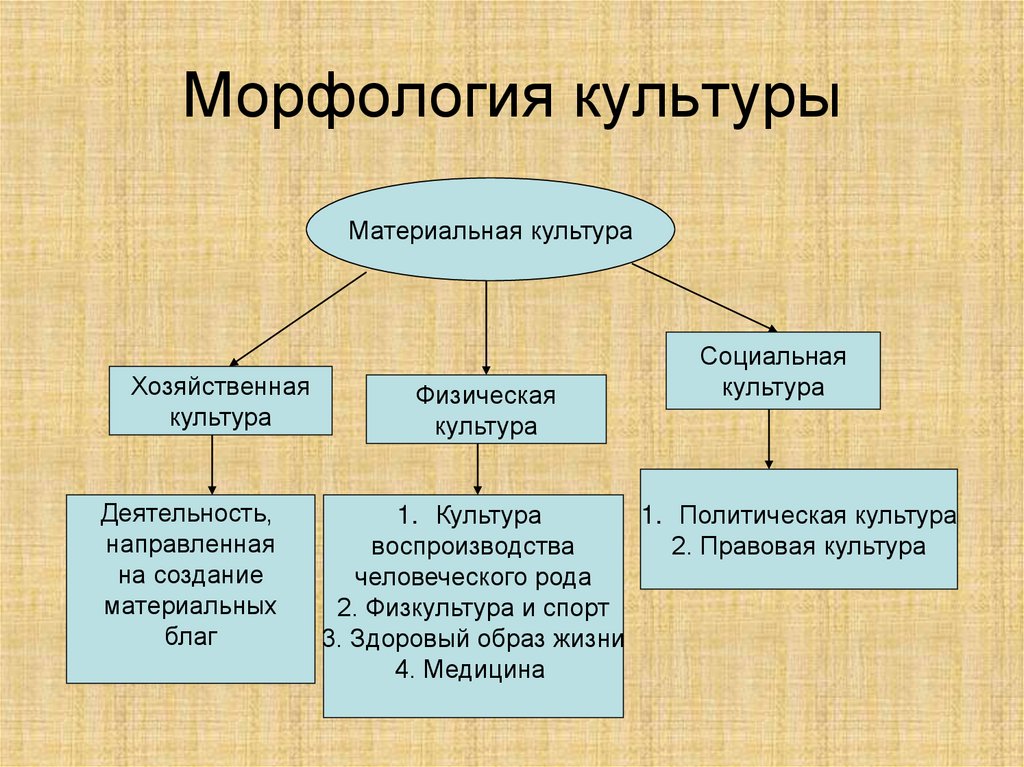 Признаки функции культуры