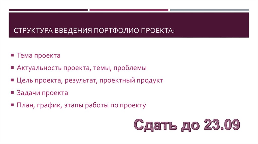 Структура введения портфолио проекта: