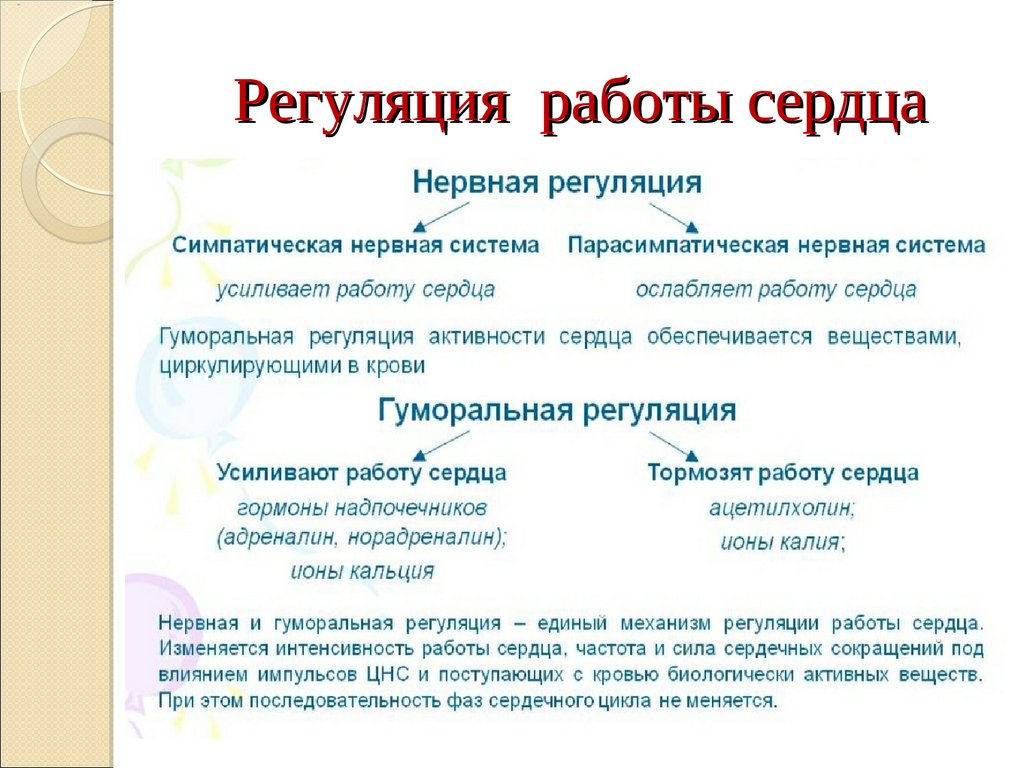 Регуляция работы сердца