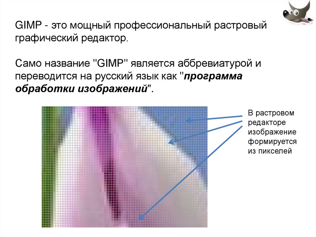 Инструменты выделения растрового редактора. В растровом графическом редакторе изображение формируется из. Из чего формируется изображение растровых редакторов от редакторов. Растровый графический редактор gimp сильные и слабые стороны. Точки растра в гимп это.