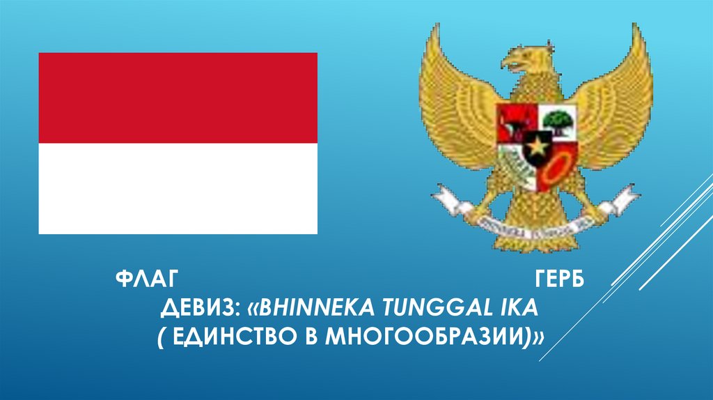 Флаг герб Девиз: «Bhinneka Tunggal Ika ( Единство в многообразии)»