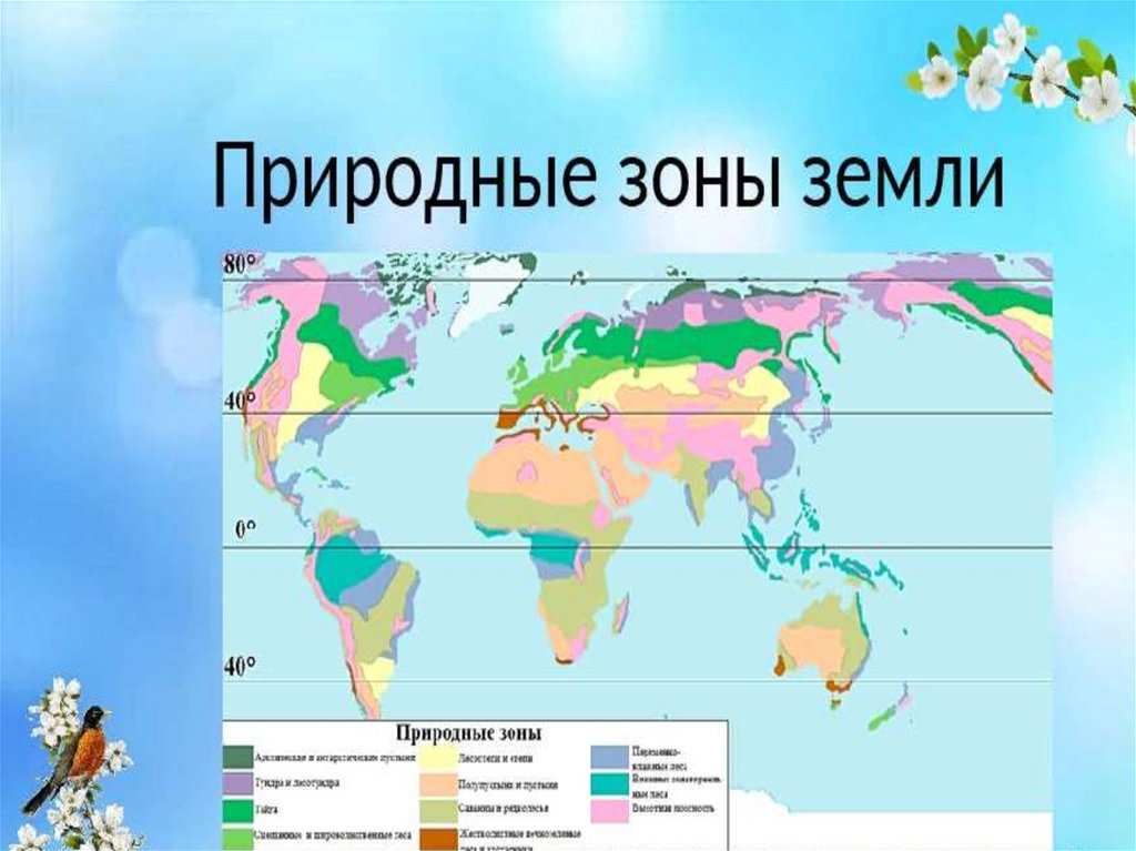 Какие зоны земли есть. Природные зоны. Природные зоны земли. Карта природных зон. Природные зоны земли карта.