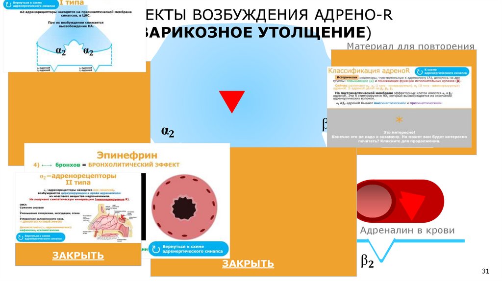 "β" _3−адренорецепторы