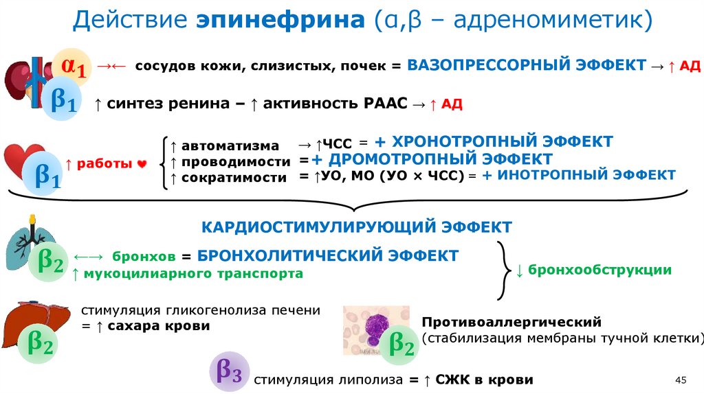 Эпинефрин