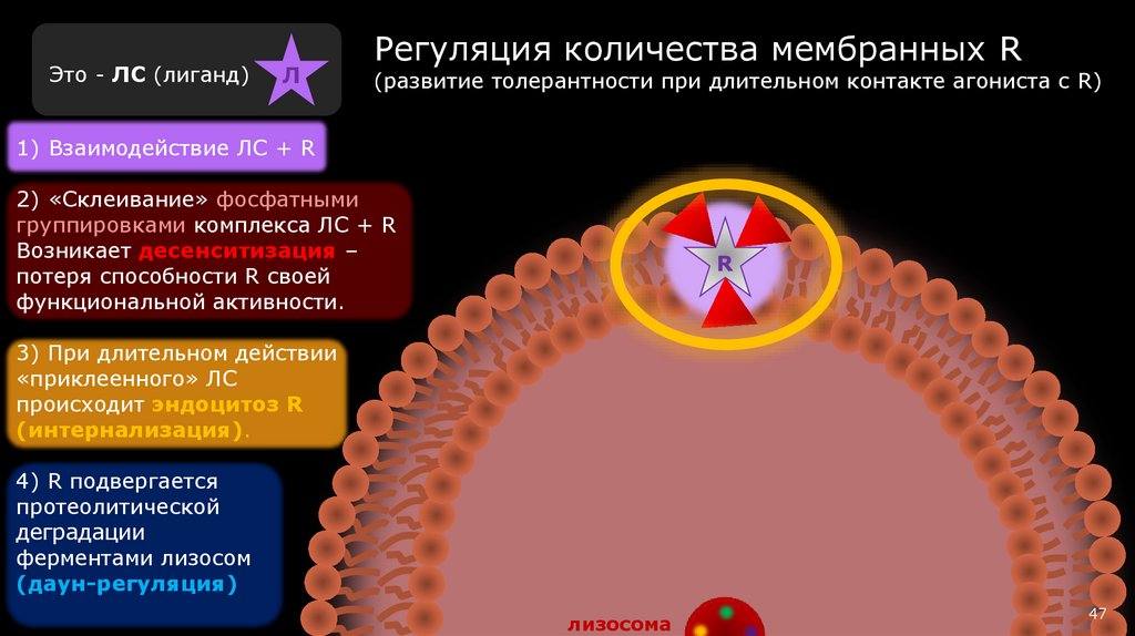 Эпинефрин