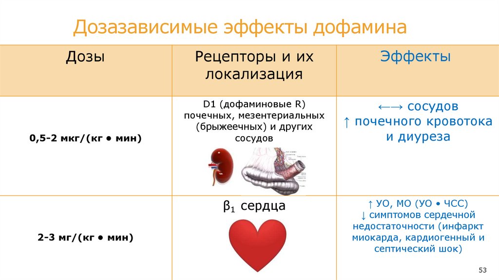 НЭ = крайние степени эффектов эпинефрина