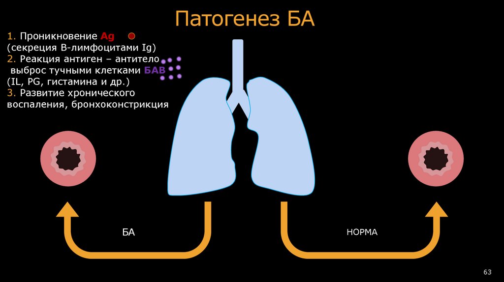 Фенилэфрин